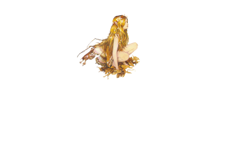 logo_AqualungCentroBenessere_TrattCorpo_ve_bn